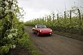MG Bloesemrit op 24-4-2016 org. Jos&Marie-lou  (71)